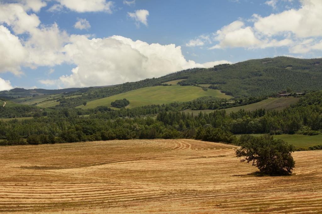 Casole dʼElsa Agriturismo Piettorri חדר תמונה